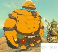 阿陨如何开启保管库之谜