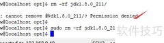 Linux系统Java版本更新指南