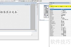 VF6.0表单控件属性设置