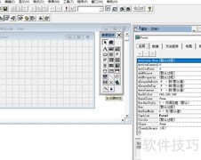 VF6.0设置表单控件凹下格式