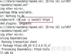 Linux配置DNS与网站连接
