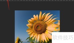 画笔工具进阶：颜色替换技巧