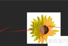 画笔工具进阶：颜色替换技巧