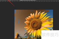 画笔工具进阶：颜色替换技巧
