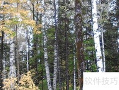 长白山天池旅游指南