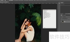 Nik Collection闪退解决方法