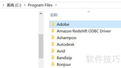 Nik插件灰色无法使用
