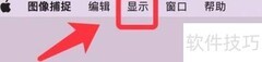 隐藏图像捕捉软件标签页技巧