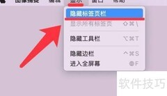 隐藏图像捕捉软件标签页技巧