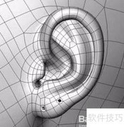 模型布线理论精要