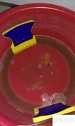 玻璃清洁器使用技巧