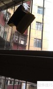 玻璃清洁器使用技巧