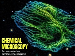 浙哈团队研发无光毒超分辨显微镜RIED，实现活细胞41小时连续动态成像