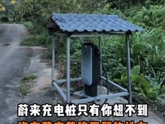 河源山沟现赛博土地庙充电桩引热议