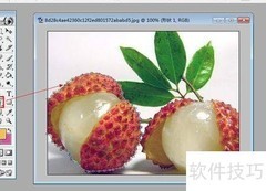 PS钢笔工具抠图技巧