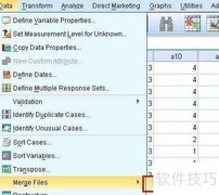SPSS合并数据文件方法
