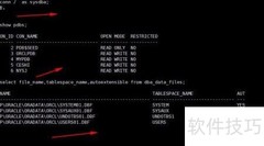 Oracle12c数据文件特性解析
