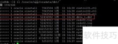 Oracle数据文件路径修改