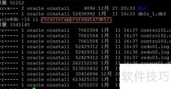 Oracle数据文件路径修改