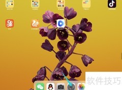 iPad Pro如何设置按HOME唤Siri