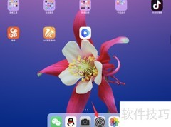 iPad Pro主屏幕按钮连按设置