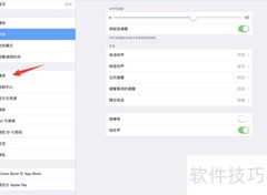 iPad Pro主屏幕按钮连按设置