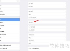 iPad Pro主屏幕按钮连按设置