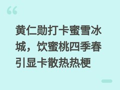 黄仁勋打卡蜜雪冰城，饮蜜桃四季春引显卡散热热梗