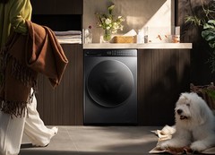 内裤袜子一起洗到底脏不脏？讲究卫生的人该怎么用洗衣机