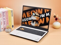 有趣的设计也能有超高性价比 COLORFIRE MEOW R16 Pro评测