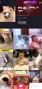 抖音you see see you胖瘦配音教程