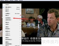 Fat播放器双倍尺寸使用教程