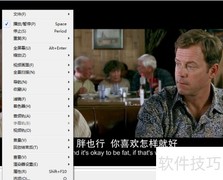 Fat播放器双倍尺寸使用教程