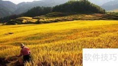 人生成功之路漫谈