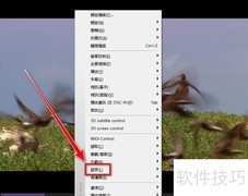 KMPlayer设置简体中文方法