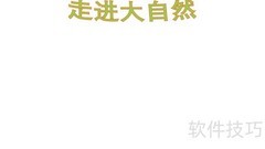 大自然的奇妙世界