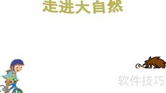 大自然的奇妙世界