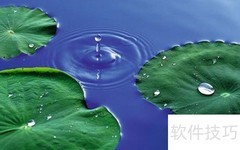 聆听自然：身边的天籁之音