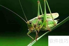 大自然的天籁之音