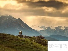 大自然的美妙声音