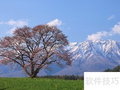 大自然的50种奇妙声音