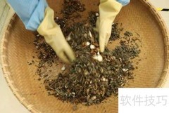 驱蚊妙招：家用轻松防蚊