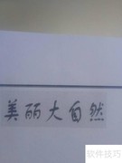 大自然的奇妙世界