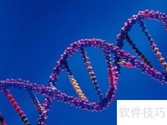 DNA在细胞中的位置