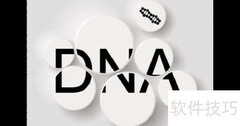 DNA鉴定步骤全解析
