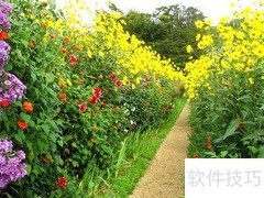 临床医师成绩查询指南