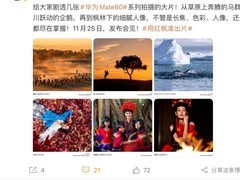 华为Mate 80影像首曝：草原骏马与南极企鹅惊艳亮相