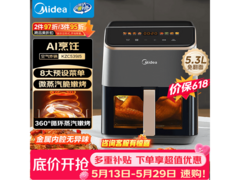 美的5L空气炸锅173元