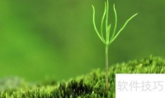 abcc式四字成语全集