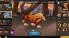 三国战纪：战宠取舍攻略